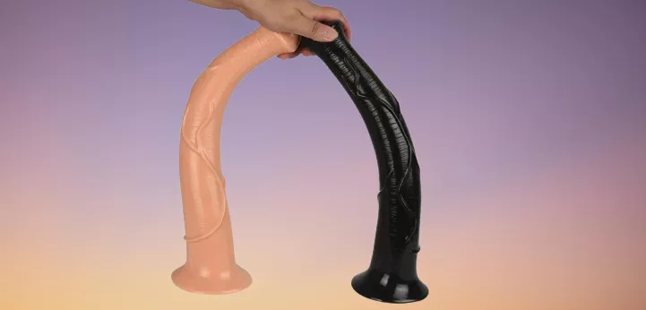 horse dildos